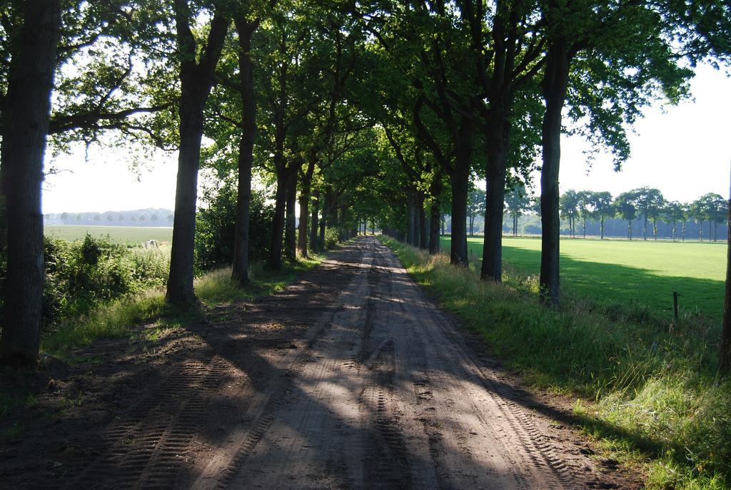 Готель Bitter En Zoet Veenhuizen Номер фото